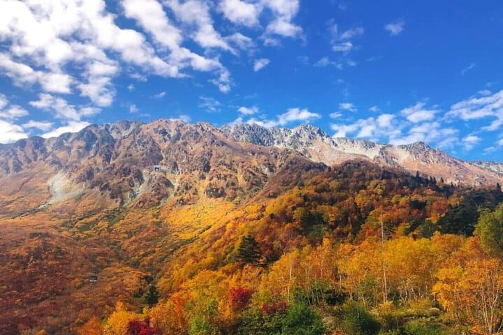 1-Day Tateyama-Kurobe Tour: Walking on the 'Roof of Japan' — photo 14