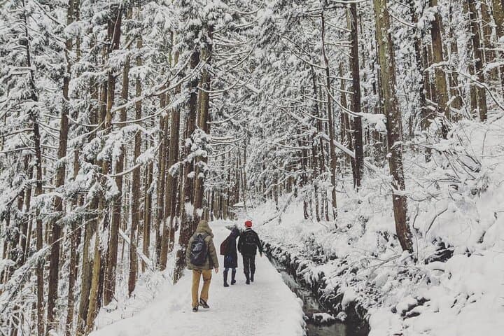 1-Day Snow Monkeys, Zenko-ji Temple & Sake in Nagano — photo 7