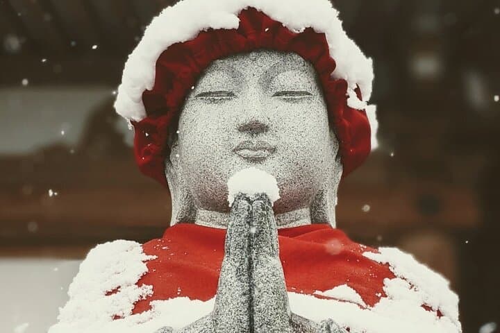 1-Day Winter Tour From Nozawa Onsen: Snow Monkeys, Zenko-ji Temple & Sake — photo 10