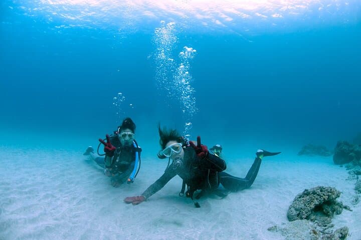 1 Dive Standard Course Scuba Diving in Yakushima — photo 8