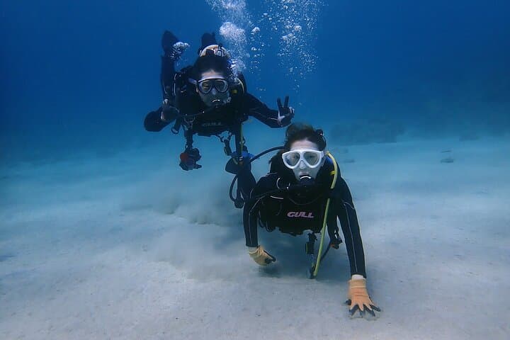 1 Dive Standard Course Scuba Diving in Yakushima — photo 11