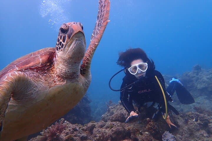 Discover Scuba Diving with Sea Turtle Course in Yakushima — photo 6