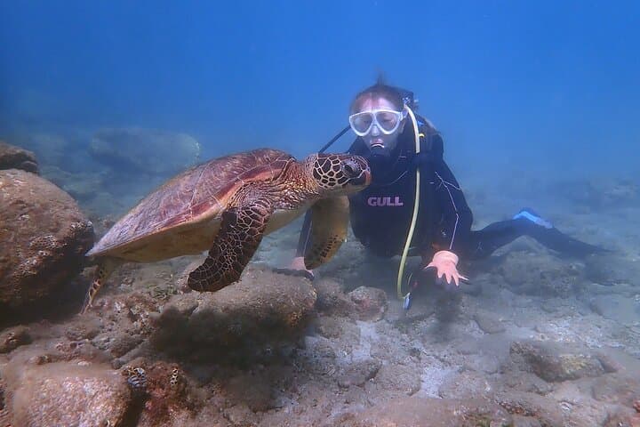 Discover Scuba Diving with Sea Turtle Course in Yakushima — photo 8