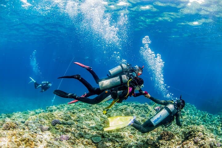 Naha: Full-Day Introductory diving & Snorkeling in the Kerama Islands, Okinawa — photo 8
