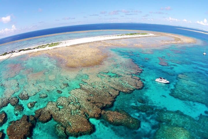 Naha: Full-Day Snorkeling Experience in the Kerama Islands, Okinawa — photo 7