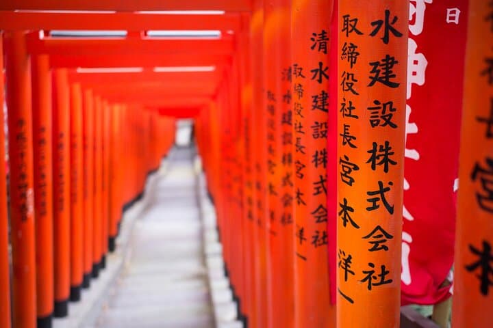 Tokyo 6hr Instagram Highlights Private Tour with Licensed Guide — photo 3