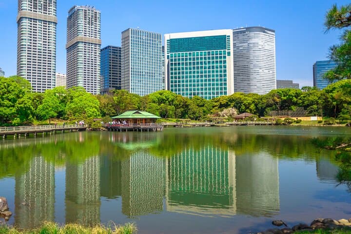 Tokyo 6hr Instagram Highlights Private Tour with Licensed Guide — photo 10
