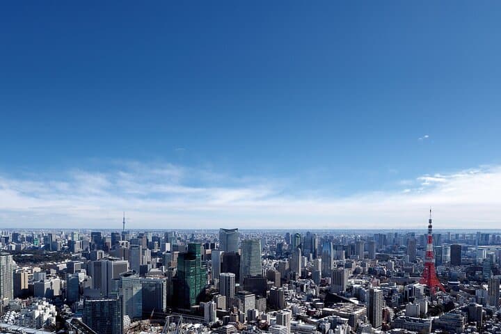 Tokyo 6hr Instagram Highlights Private Tour with Licensed Guide — photo 8