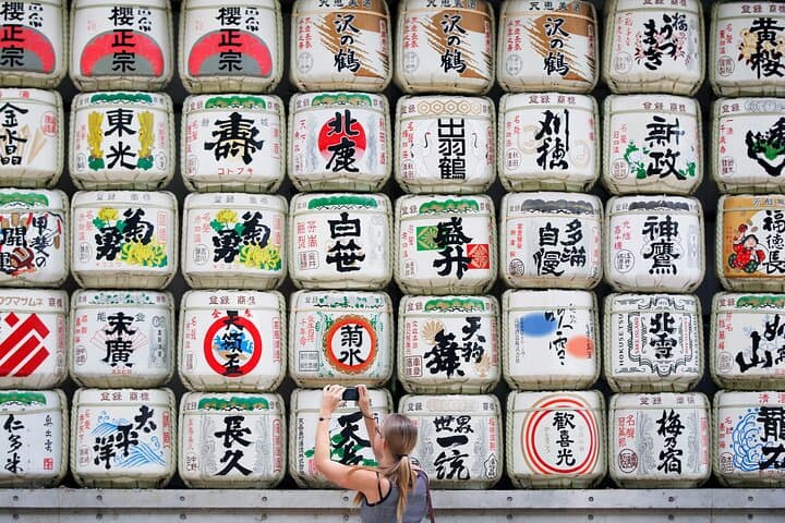 Tokyo 6hr Instagram Highlights Private Tour with Licensed Guide — photo 2