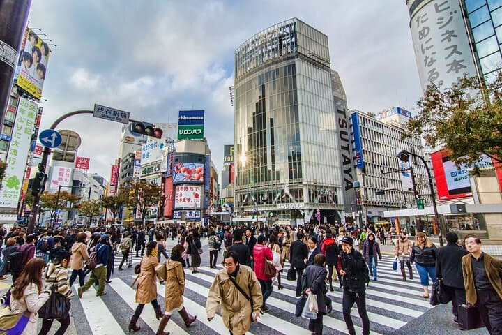Tokyo 6hr Instagram Highlights Private Tour with Licensed Guide — photo 4