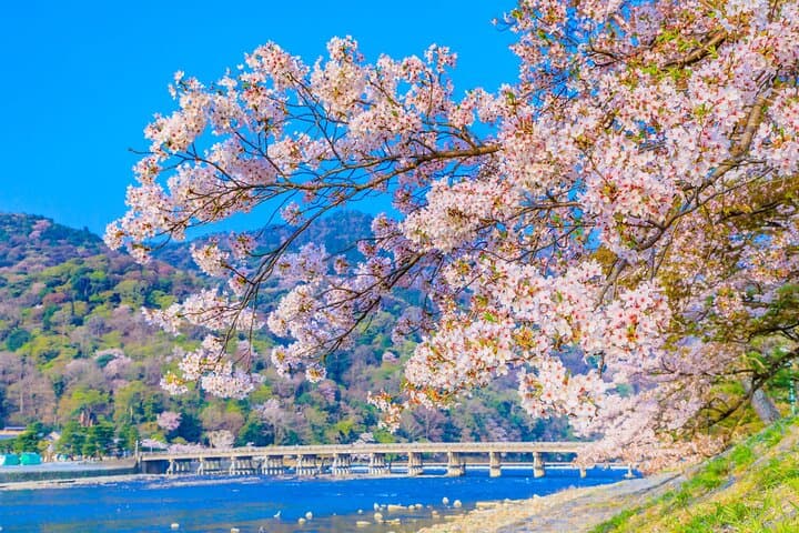 Kyoto 6hr Instagram Highlights Private Tour with Licensed Guide — photo 6