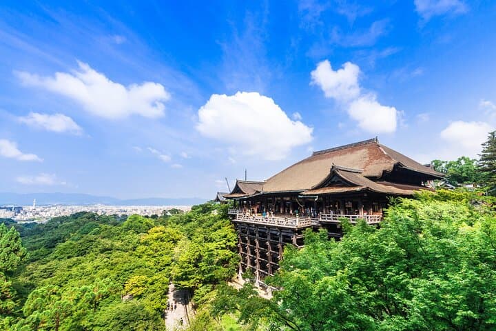 Kyoto 6hr Instagram Highlights Private Tour with Licensed Guide — photo 4