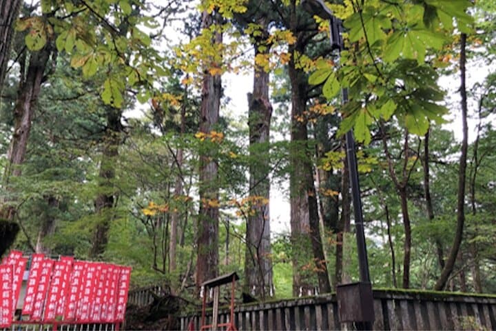 Private Morning Hike Around Nikko Toshogu Shrine — photo 5
