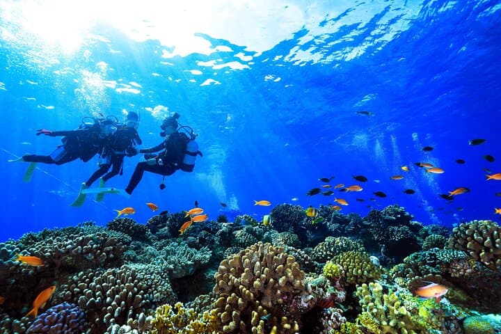 Naha: Full-Day Introductory diving & Snorkeling in the Kerama Islands, Okinawa — photo 5
