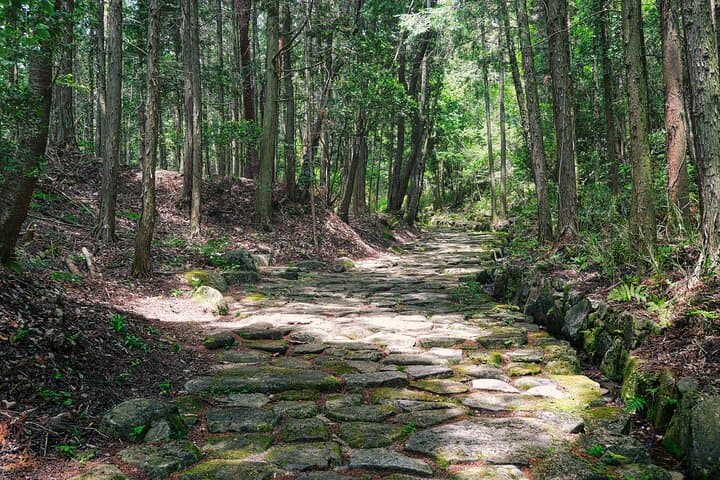 Magome & Tsumago Nakasendo Trail Day Hike with Government-Licensed Guide — photo 12