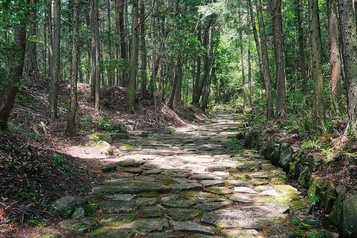 Magome & Tsumago Nakasendo Full-Day Private Trip with Government-Licensed Guide — photo 13