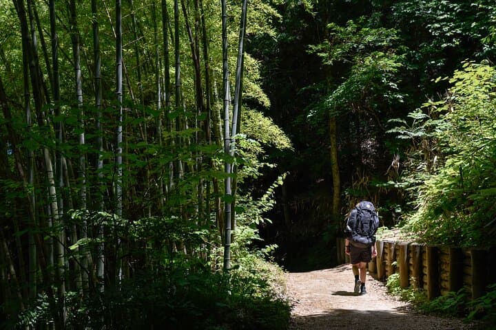 Magome & Tsumago Nakasendo Full-Day Private Trip with Government-Licensed Guide — photo 15
