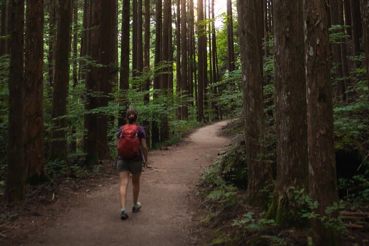 Magome & Tsumago Nakasendo Trail Day Hike with Government-Licensed Guide — photo 3