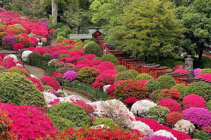 The Old Quarter of Tokyo - Yanaka Walking Tour — photo 19
