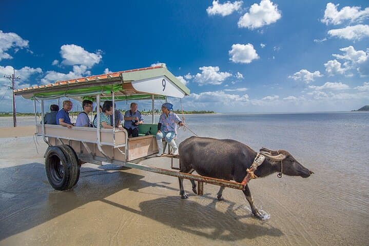Okinawa Iriomote Island 1 Day Trip OK from Ishigaki Island!Complimentary photo data and equipment rental for Balas Island Snorkeling & Yufu Island Sightseeing — photo 2