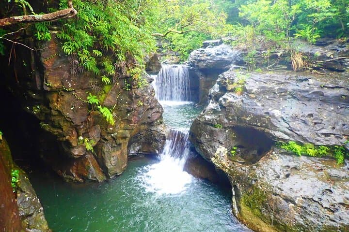 Okinawa Iriomote Mangrove SUP or Canoe and Splash Canyoning Tour — photo 16