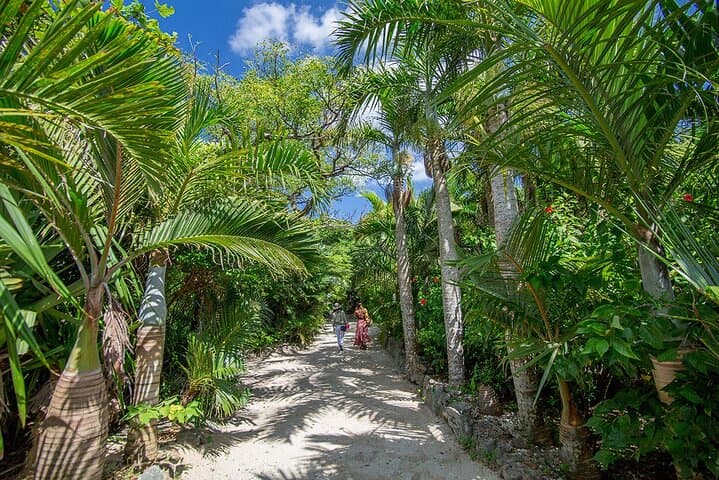 Okinawa Iriomote SUP or Canoe and Sightseeing in Yubujima Island — photo 7