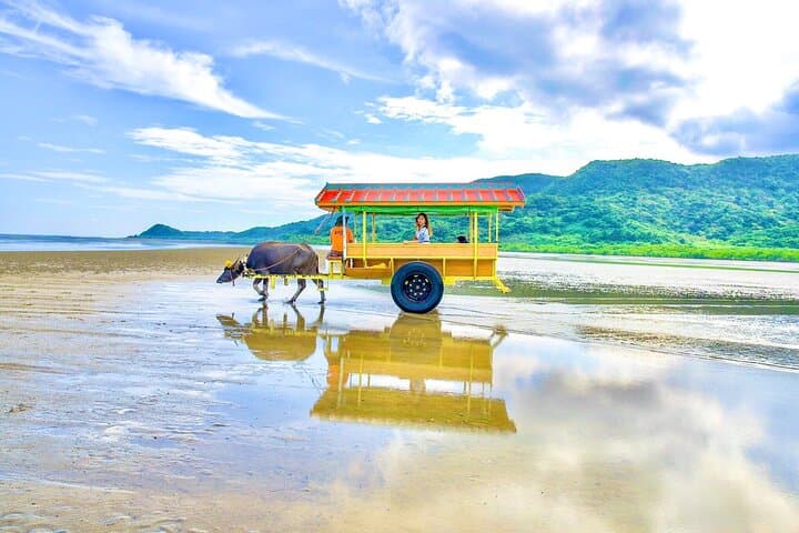 Okinawa Iriomote SUP or Canoe and Sightseeing in Yubujima Island — photo 5