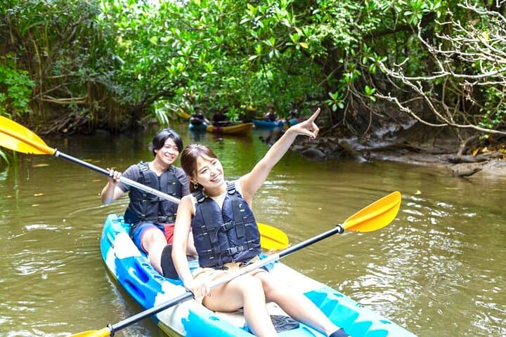 Iriomote Island 1-Day Snorkeling & Mangrove SUP or Canoe — photo 15
