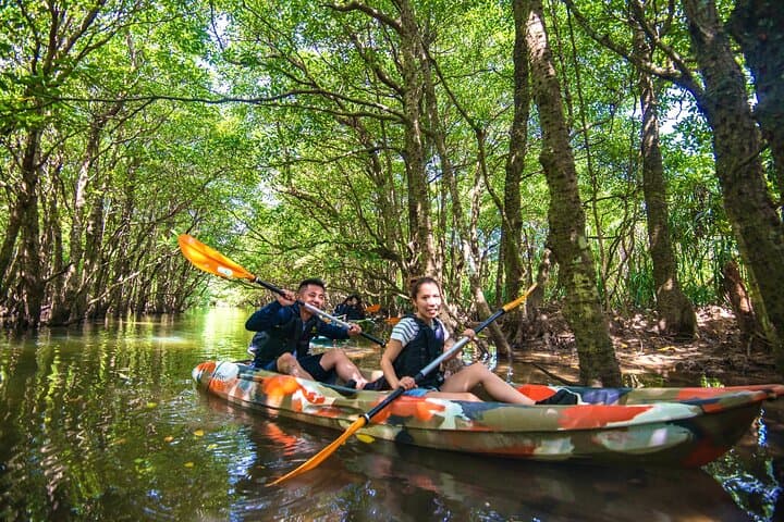 Okinawa Iriomote Mangrove SUP or Canoe Tour — photo 16