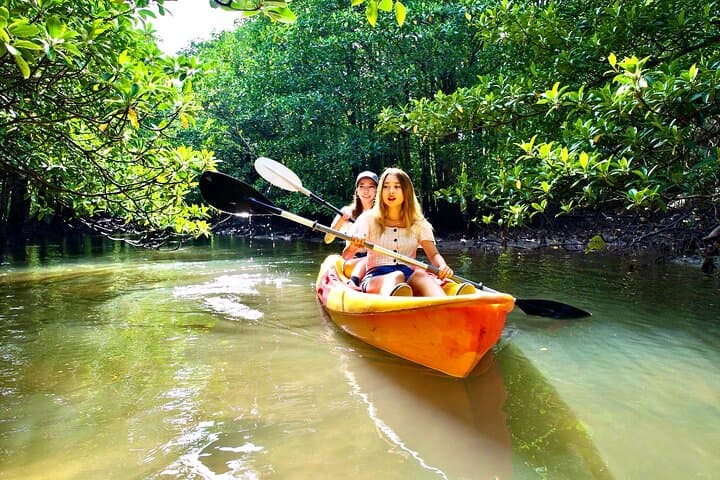Iriomote 1 Day Mangrove SUP/Canoe, Barasu Island & Yubu Island — photo 2