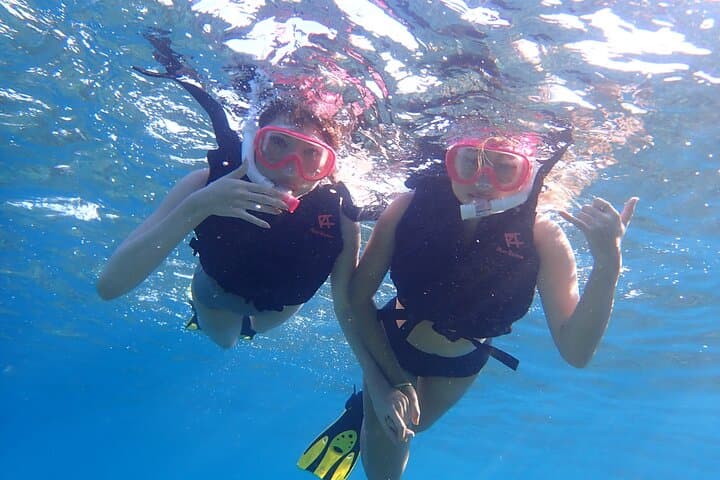 Iriomote Island 1-Day Snorkeling & Mangrove SUP or Canoe — photo 6