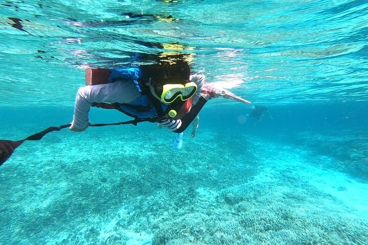 Okinawa Iriomote Snorkeling Tour at Coral Island — photo 14