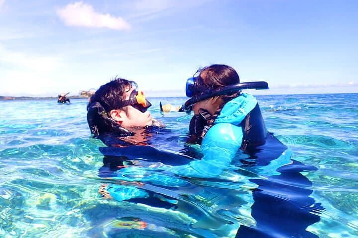 Iriomote Island 1-Day Snorkeling & Mangrove SUP or Canoe — photo 10