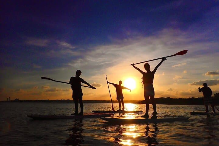 Okinawa Iriomote Sunset SUP or Canoe Tour in Iriomote Island — photo 8