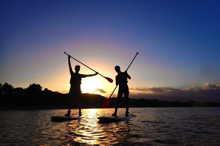 Okinawa Iriomote Sunrise SUP/Canoe Tour in Iriomote Island — photo 10
