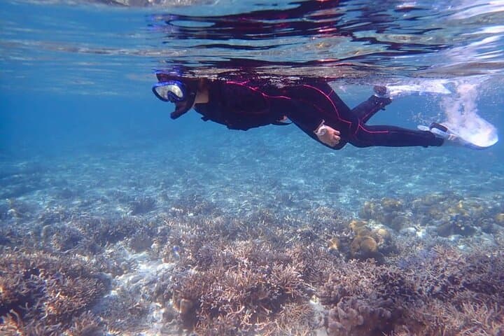 Okinawa Ishigaki Phantom Island and Blue Cave Snorkeling — photo 15