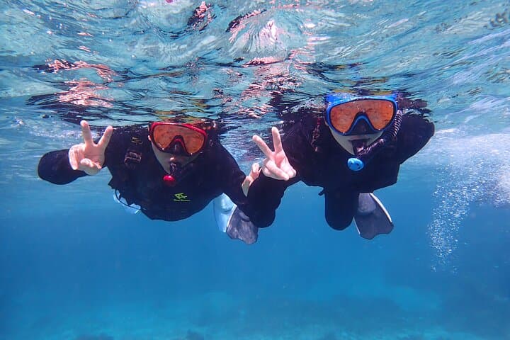 Ishigaki Mangrove SUP or Canoeing and Phantom Island Snorkeling — photo 12