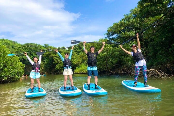 Okinawa Ishigaki Mangrove SUP or Canoe Tour — photo 14