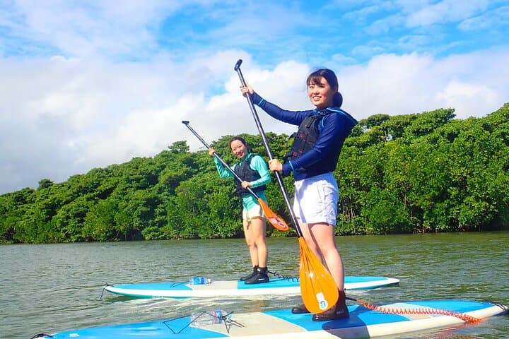 Okinawa Ishigaki Mangrove SUP or Canoe Tour — photo 5