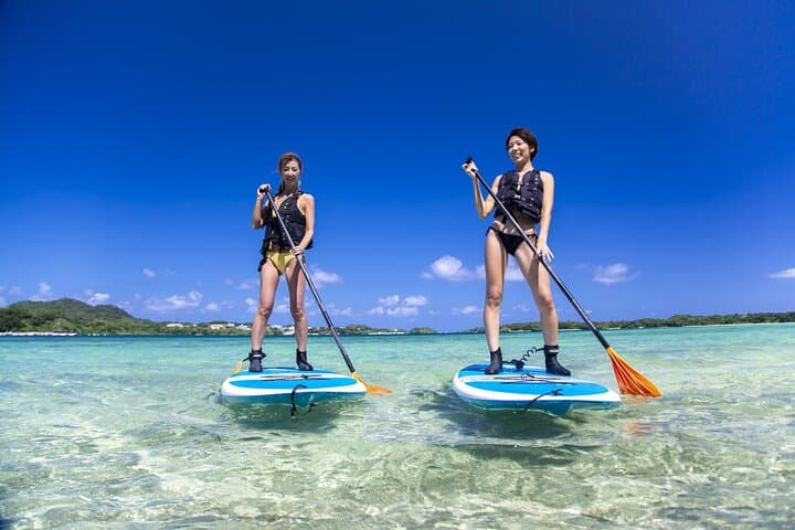 Okinawa Ishigaki Kabira Bay SUP or Canoe Tour — photo 3