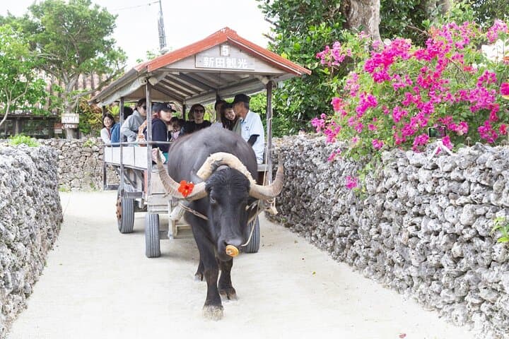 Ishigaki Phantom Island Snorkeling Taketomi Island Sightseeing — photo 12
