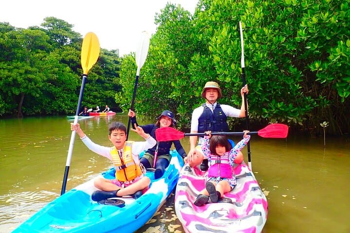 Ishigaki Mangrove SUP or Canoe + Blue Cave Snorkeling — photo 18