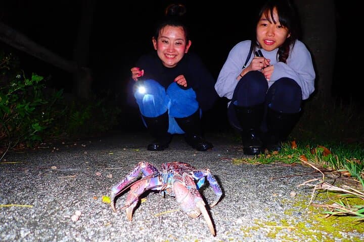 Okinawa Ishigaki Island Night Starry sky and Jungle night tour — photo 7