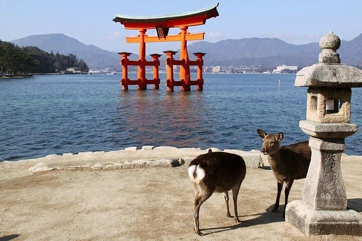 Hiroshima and Miyajima 1 Day Tour for who own the JR Pass only — photo 9