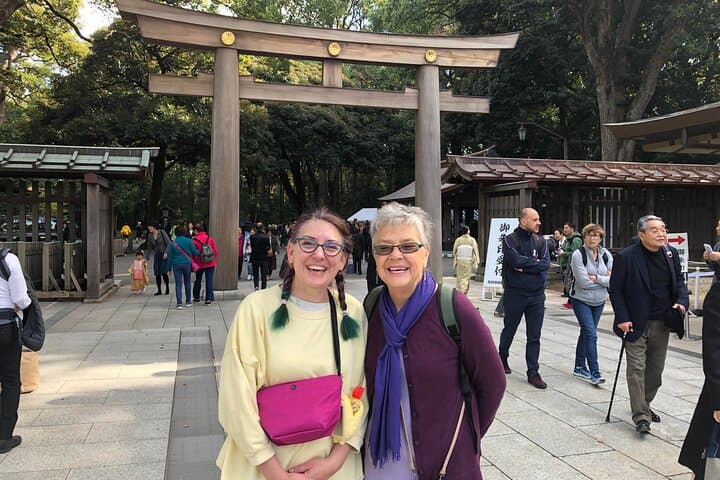 Tokyo 6 hour Tour : English Speaking Driver Only, No Guide — photo 13