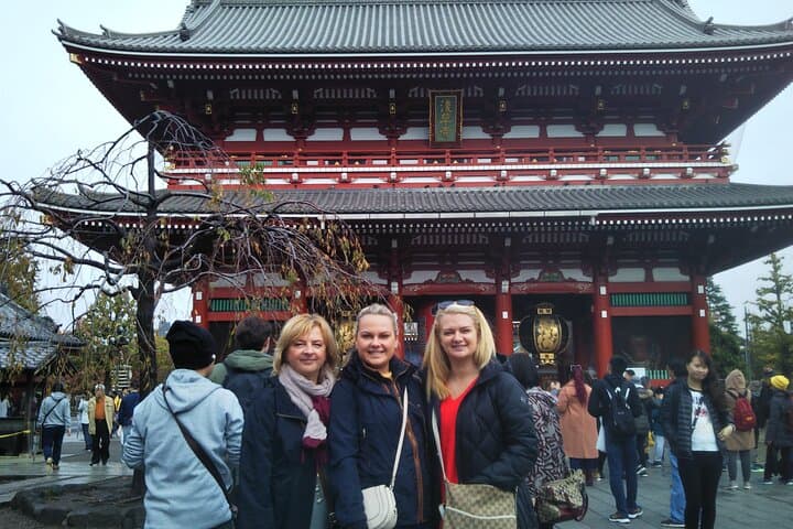 Tokyo 6 hour Tour : English Speaking Driver Only, No Guide — photo 15