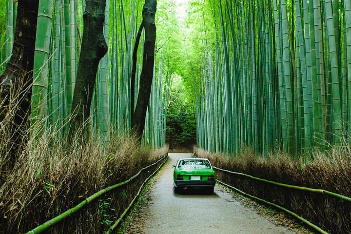 Kyoto Private 6 hour Tour: English Speaking Driver Only, No Guide — photo 2