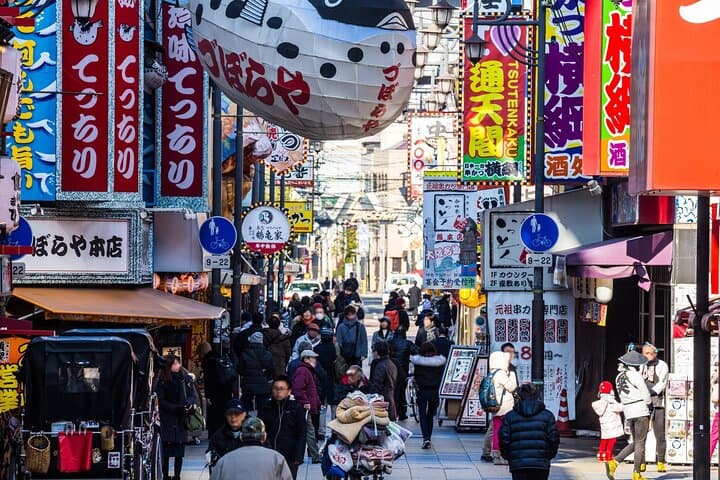 Osaka 6 hr Private Tour: English Speaking Driver Only, No Guide — photo 4