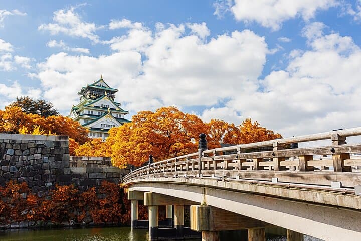 Osaka 6 hr Private Tour: English Speaking Driver Only, No Guide — photo 6