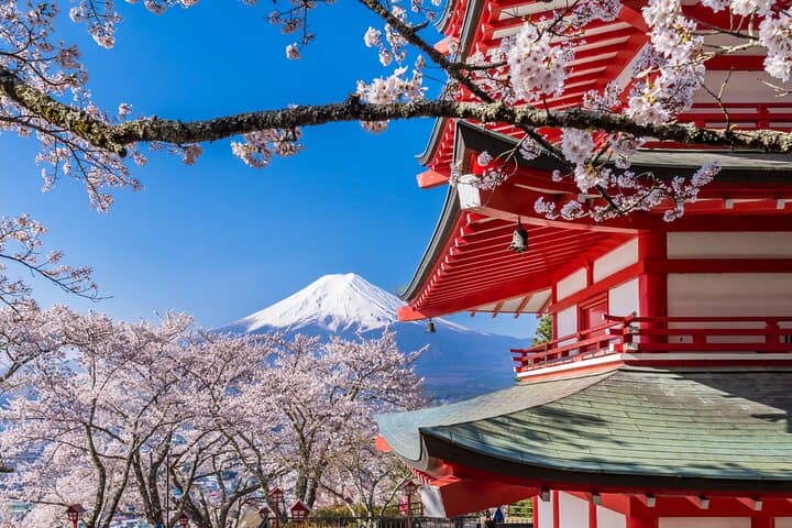 Mt. Fuji Area Tour Tokyo DEP: English Speaking Driver, No Guide — photo 4